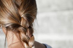head of Brunette woman with Braided Hair, back view