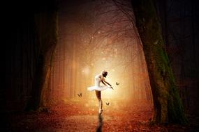 ballerina in a fairy night forest