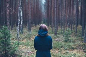 Person Forest