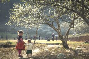 asian child girl with toddler boy in blooming garden