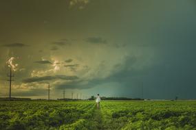 distant Woman Walks through green Field