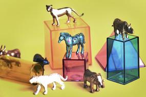 figurines of Animals on transparent colorful geometric shapes