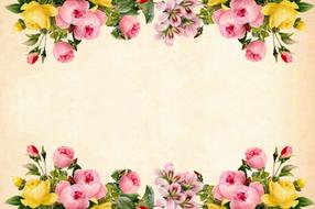 yellow and pink roses, borders at vintage background