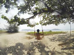 girl on Swing on Tree on Tropical Beach