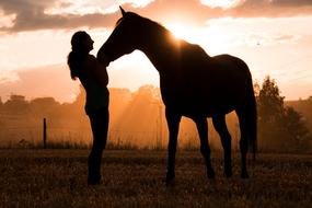 silhouette of a woman with horse at sunset