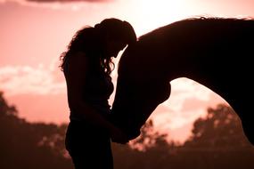 woman snuggling to a horse