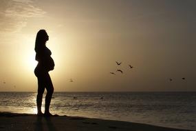 silhouette of Beautiful Young Pregnant Woman on beach at sunset