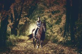 woman on brown horse in autumn forest