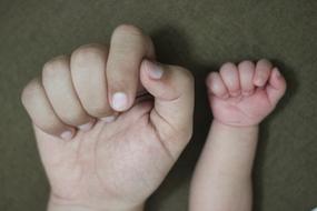 hand of an adult and newborn