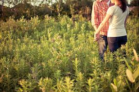 engaged couple in countryside