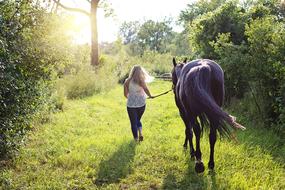 Blonde woman with the horse, walking among the beautiful, green and yellow plants in sunshine