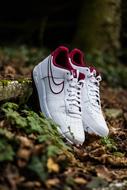 white nike sneakers on forest cover