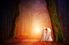 Forest Girl Woman drawing