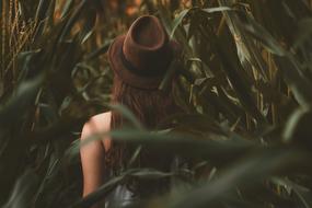 Woman hat field