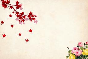 flower background floral border drawing