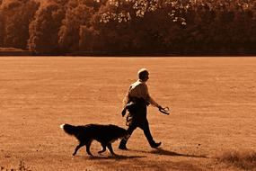 person and Dog walking on lawn at evening