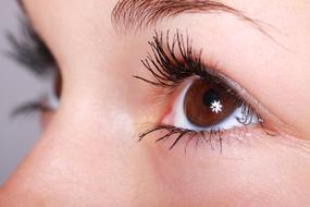 Beautiful Eye of young girl Close-Up