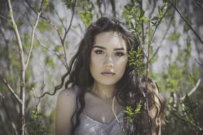 portrait of girl and tree branches