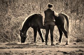 woman with Horse outdoor