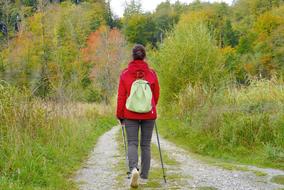 goodly Girl Walk