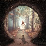pretty girl with bouquet walking on path through Forest to gateway, collage