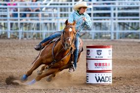 Rodeo Horse and Barrel