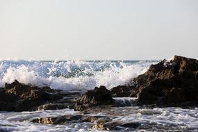 Sea wave coast