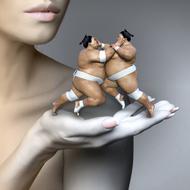 sumo wrestlers in female fantasy