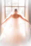 Bride in Wedding Dress with veil at Window