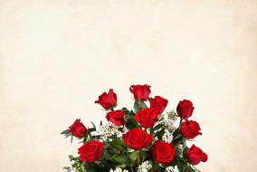 bouquet of red roses as background