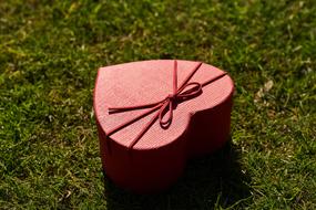 Valentineâs Day gift, heart shape box on lawn