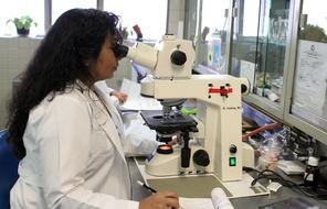 woman looking in microscope in Laboratory