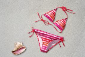 photo of pink bikini and shells