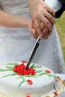 photo of Wedding Cake Cut Together