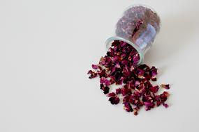 dry rose petals in jar