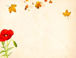 Beautiful colorful floral vintage background