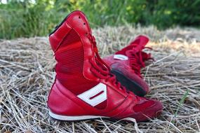 red sports shoes stand on dry grass