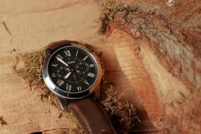 Clock Watch Fossil lie on a wooden log