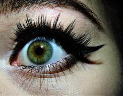 green eye with extended eyelashes