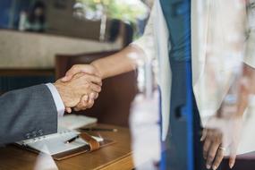 handshaking colleagues