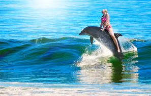 Woman Dolphin Ride sea