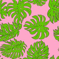 leaves tropical plant drawing