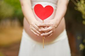 Pregnant Woman with red heart on stick