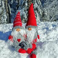 dwarfs in winter forest