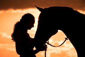 togetherness of woman and horse