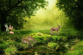 deer and fairy in mystical forest