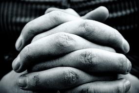 prayer's hands close up, black and white