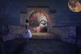 fairy Dream, Woman in front of gateway at full moon night