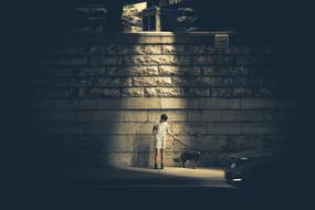 a man with a dog under the light of a street lamp