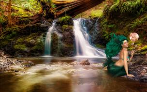 Mermaid Fantasy Fairy forest
